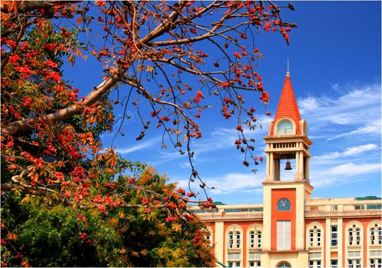 来南头中学，你将成为最好的自己