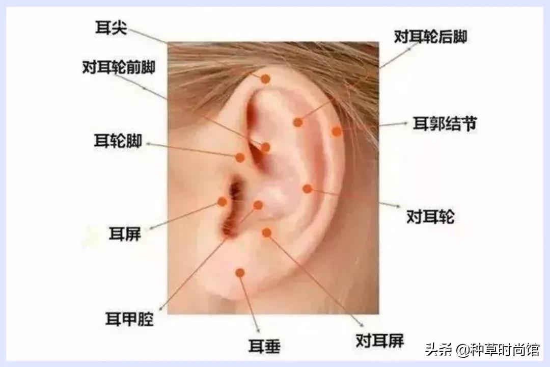 这5类人不能打疫苗,第一次打耳洞千万别踩雷
