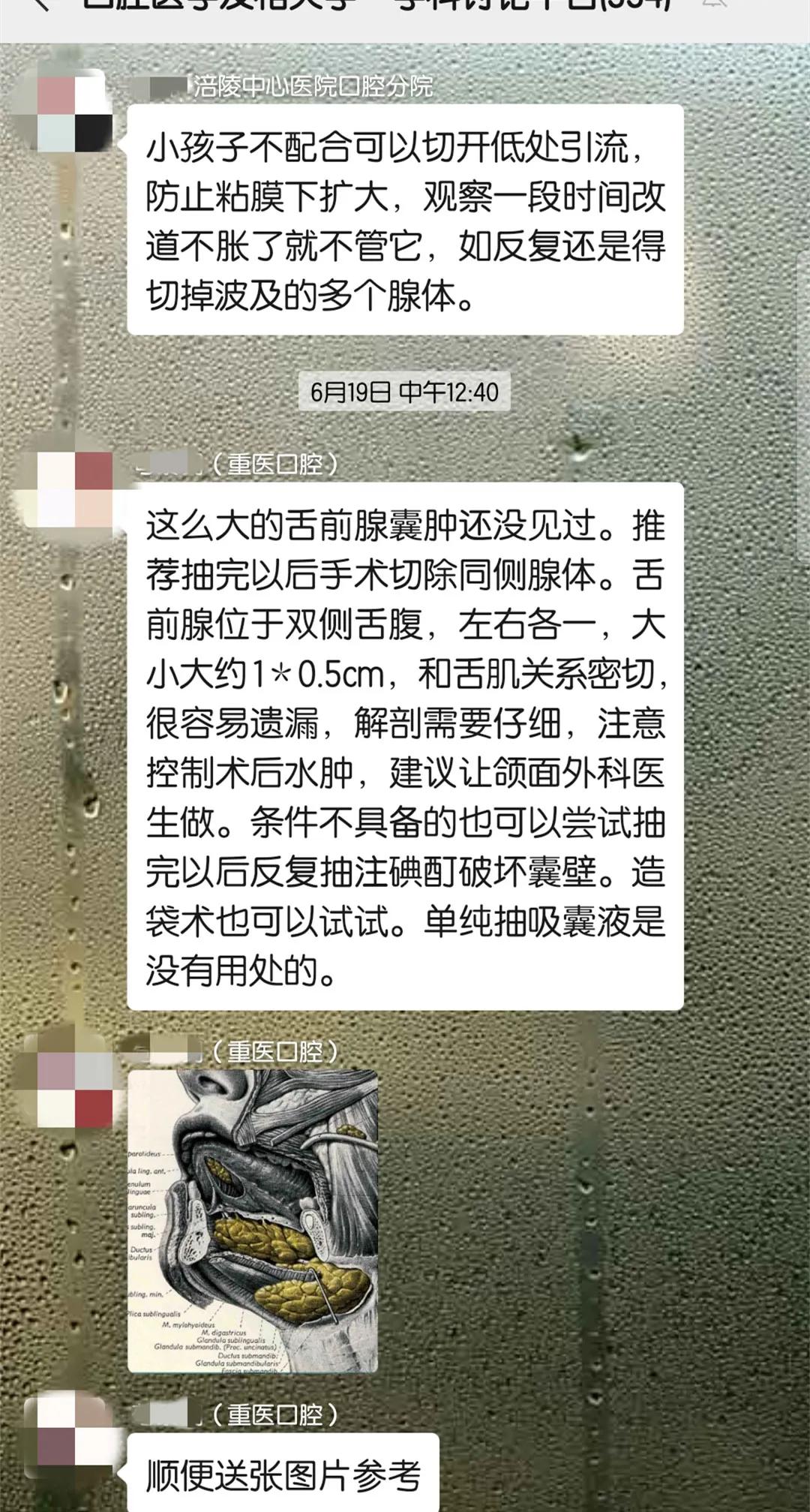 园园援藏记（二）|高原筑梦