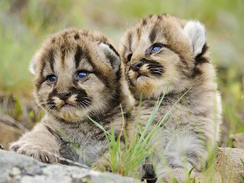 最美景观温泉,赏逸景自然美景享私家温泉泡池