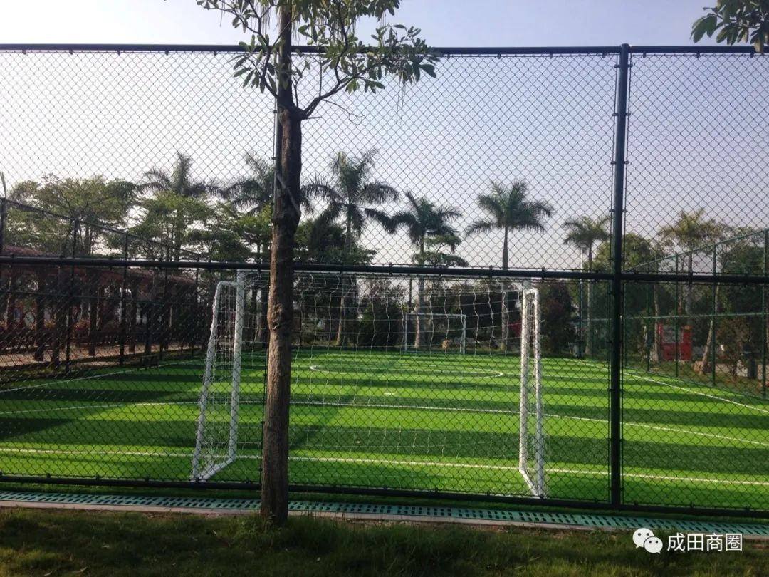 成田文体公园国庆,成田镇文体公园