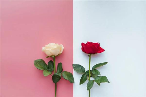 四个保护,四个一防护