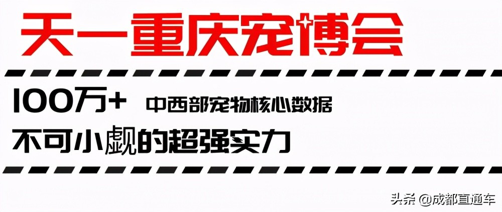 重庆24年宠物展,第四届国际宠物展重庆