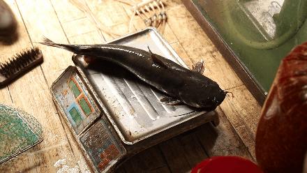 导航上找不见的店,导航不到的美食