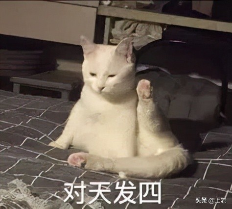 潮汕人泰语,潮汕人讲泰语