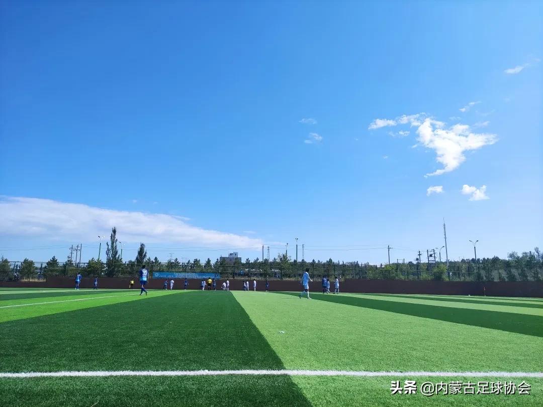 中国青少年足球联赛男子u11,青少年足球联赛男子u19山东泰山