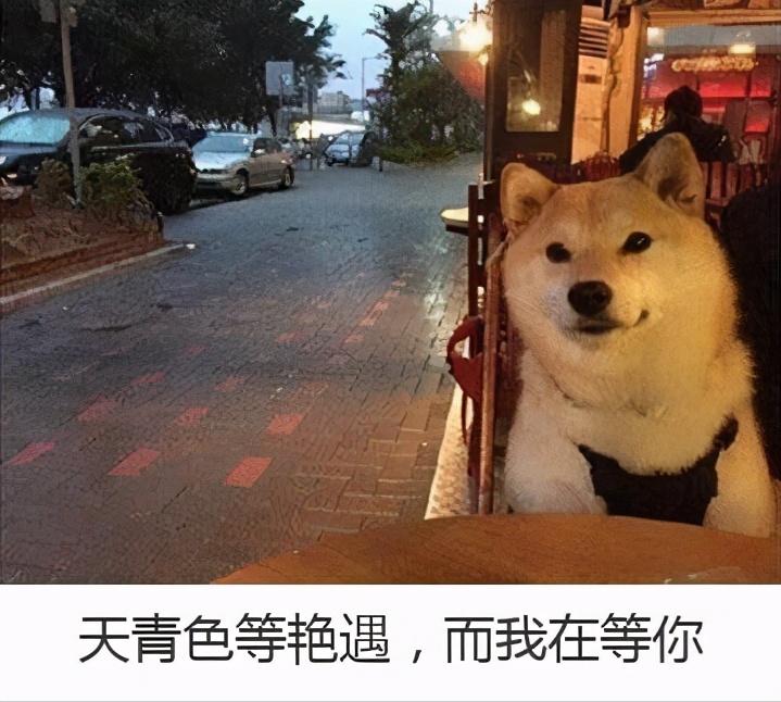 愚人节被愚的都是在乎你的人,愚人节说一句真心话