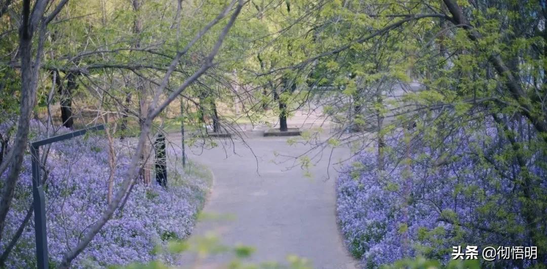 小奈良景区,北京小奈良紫玉山庄