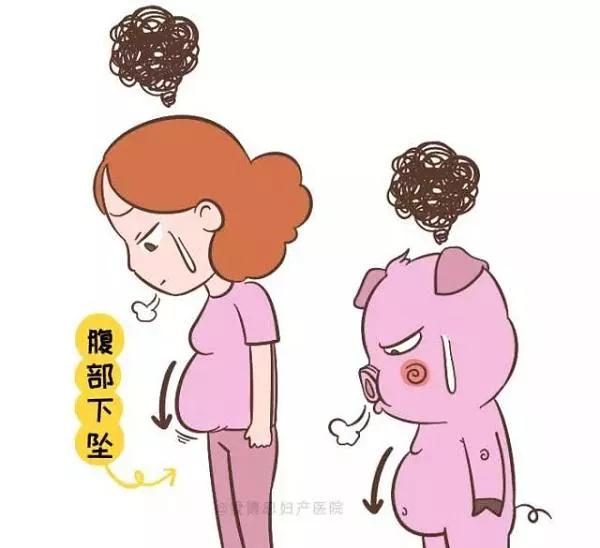 腹直肌恢复的最有效的手法,腹直肌最有效的恢复方法