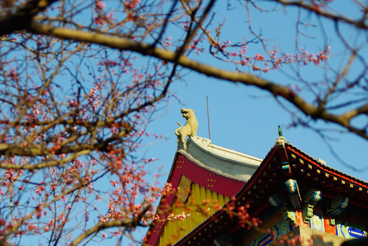 国防七子是211还是985,哈尔滨国防七子实力