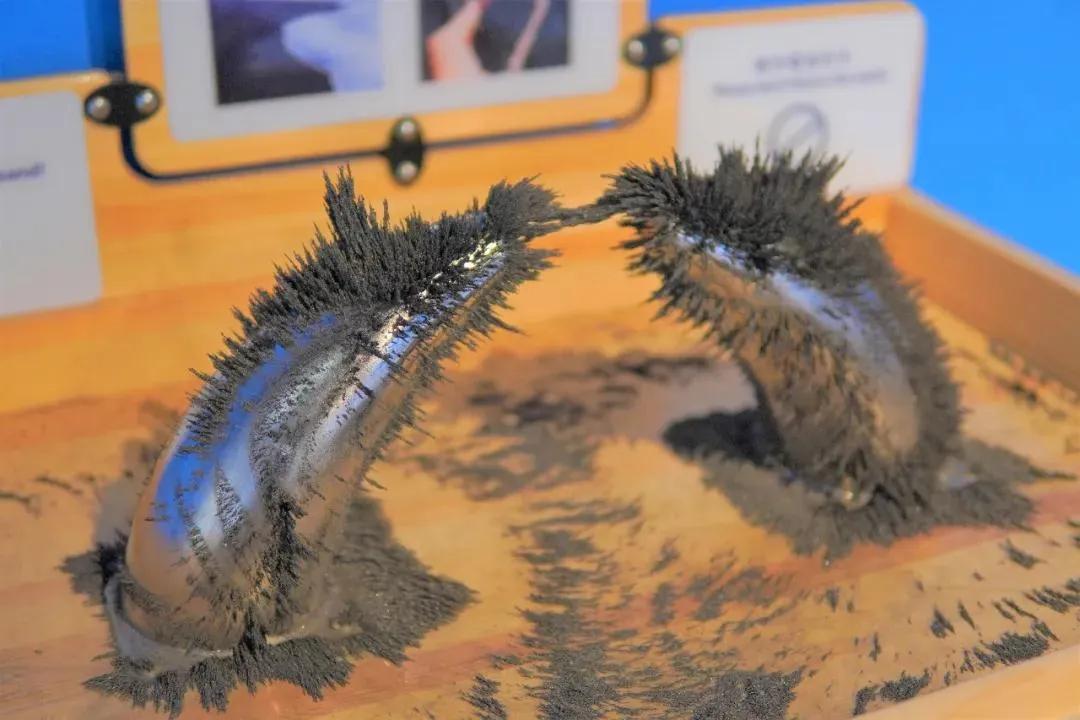 鍗佸ぇ鐑棬浜插瓙涔愬洯娣卞湷,鏂ヨ祫涓や嚎鐨勬父涔愬洯