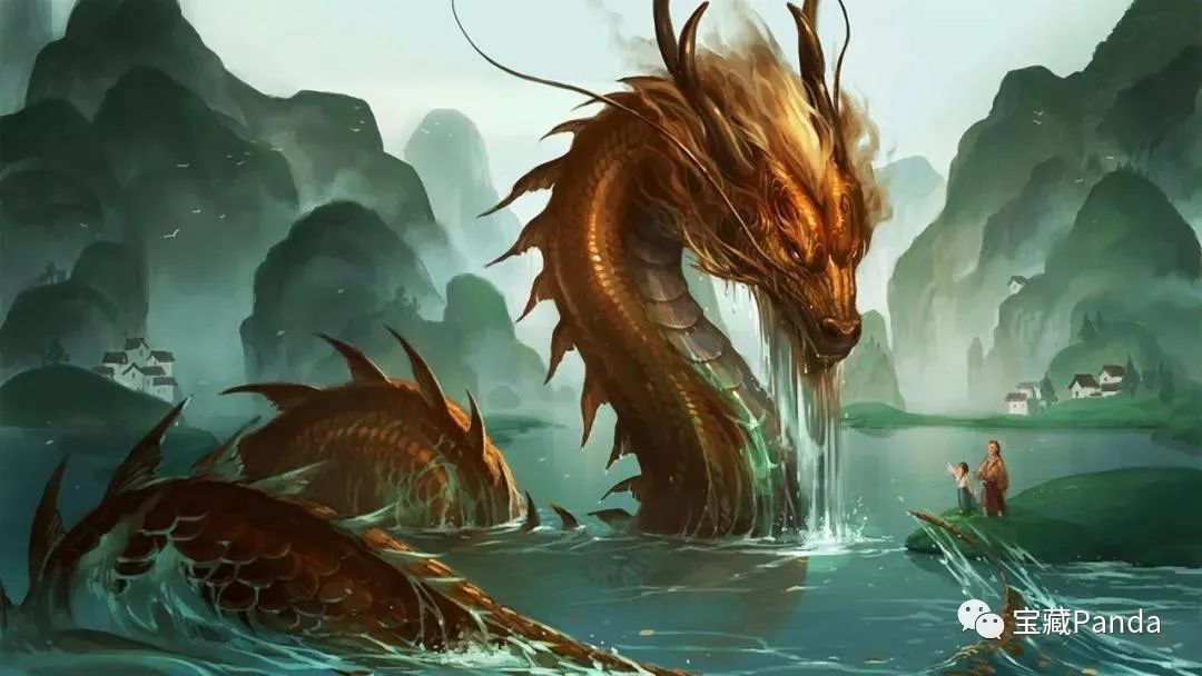 龙眼菩提四眼,龙眼菩提好还是凤眼好