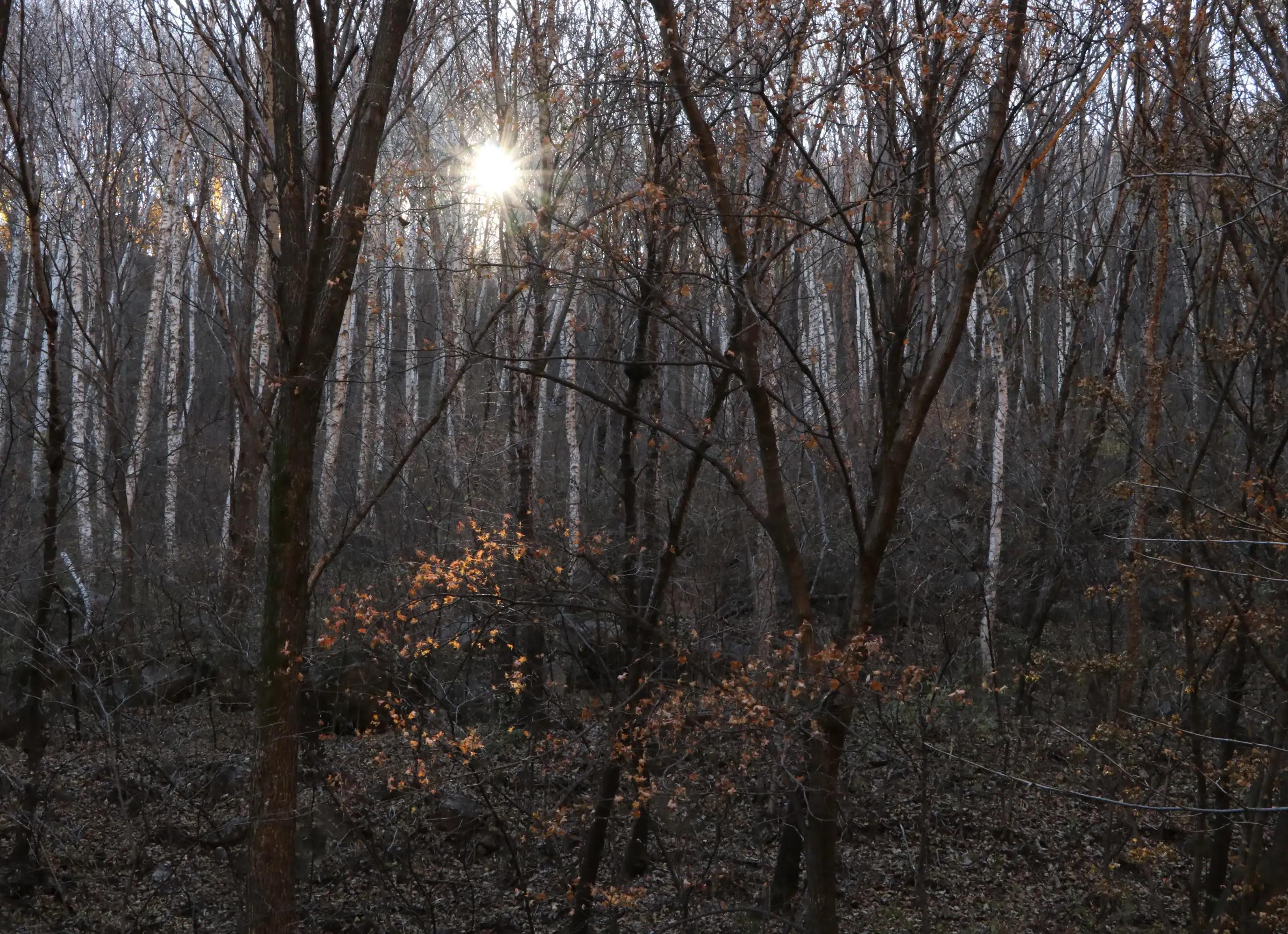 怀柔喇叭沟门原始森林2日自驾游,怀柔喇叭沟门原始森林骑行