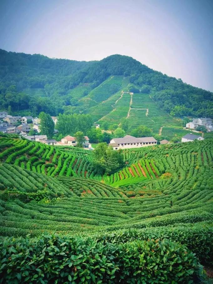 大理洱海杭州西湖哪个更美,杭州西湖为什么这么出名