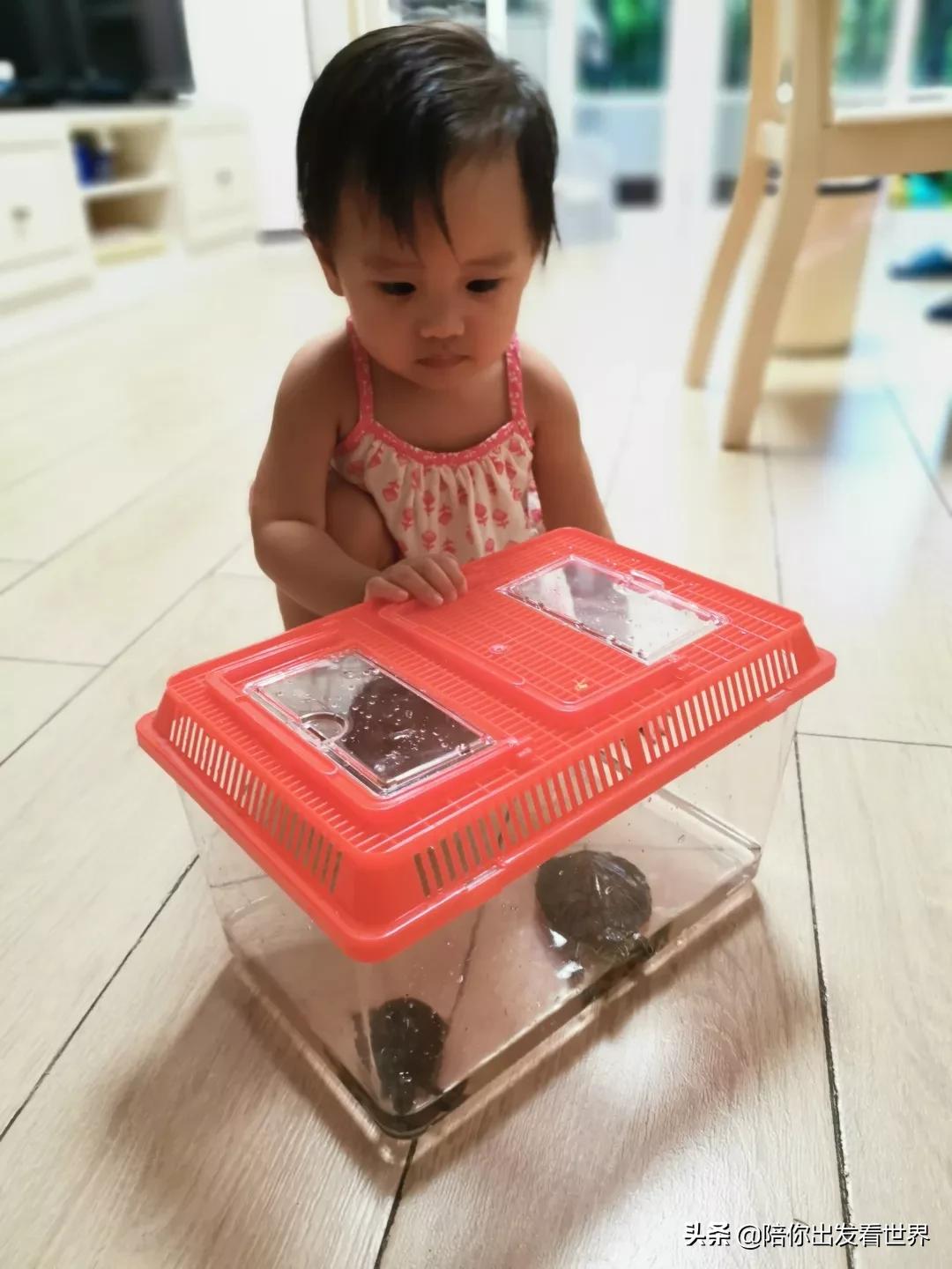 22件好物最新,育儿必备的100个好物