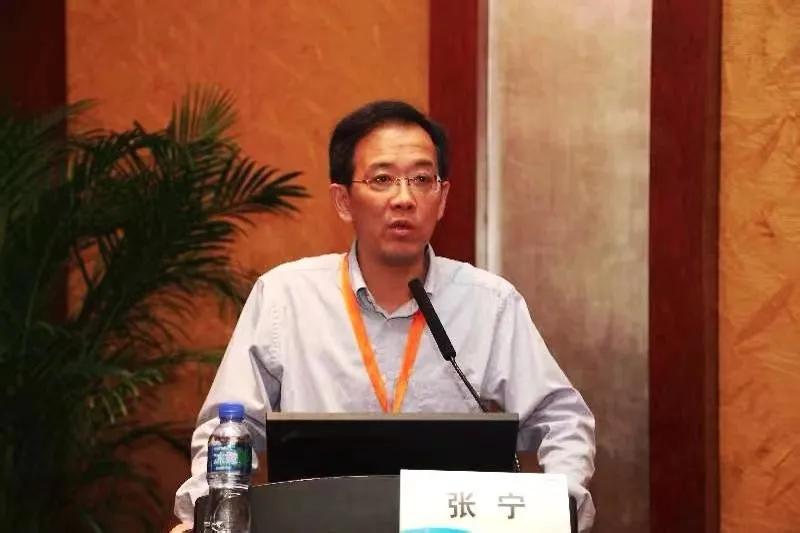 张宁健康养生,张宁适合带的恢复战法