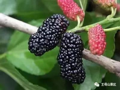 女神节带你去看风景,女神节泡温泉