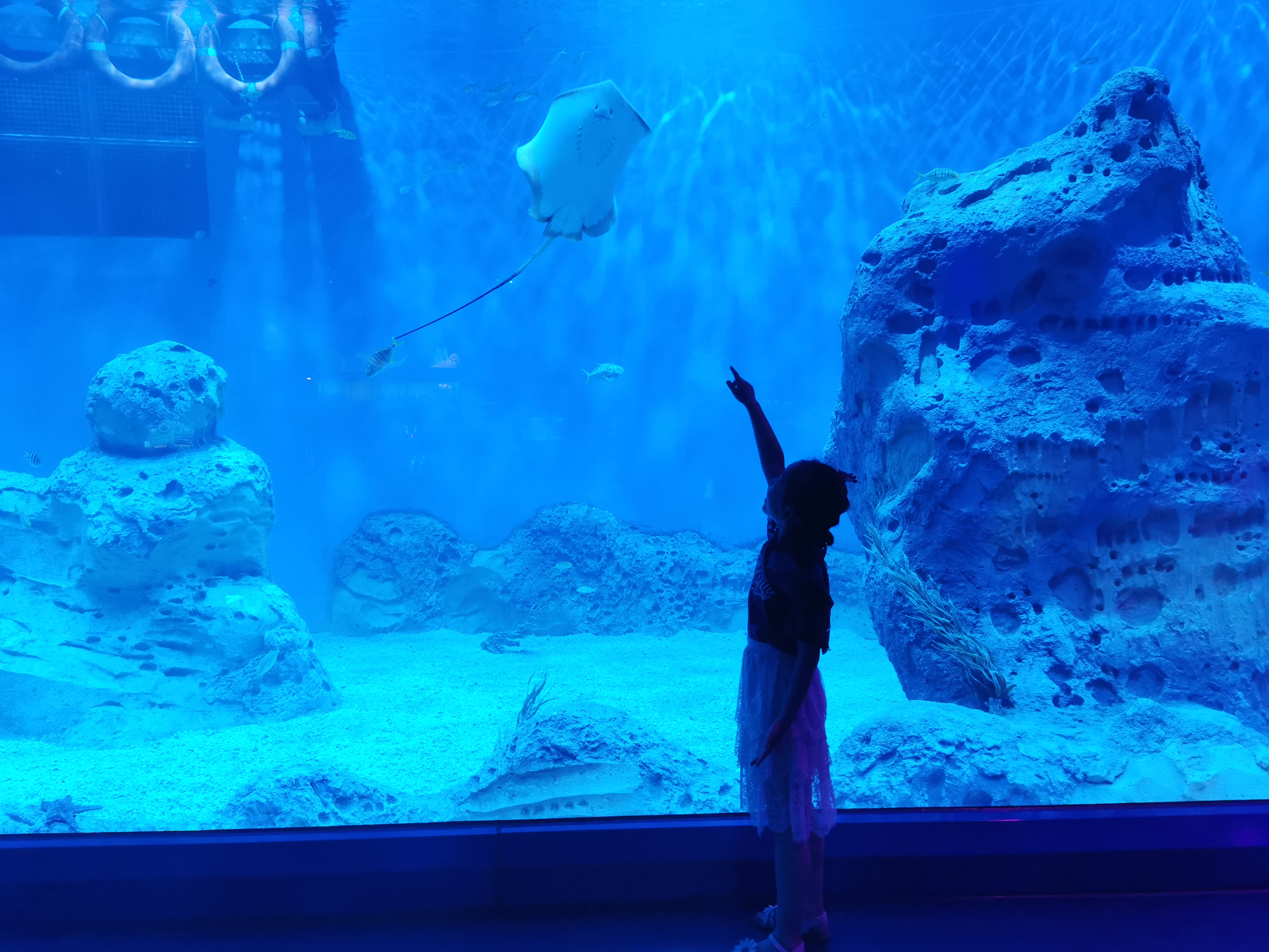 济南适合带娃去的公园,济南适合遛娃的景区