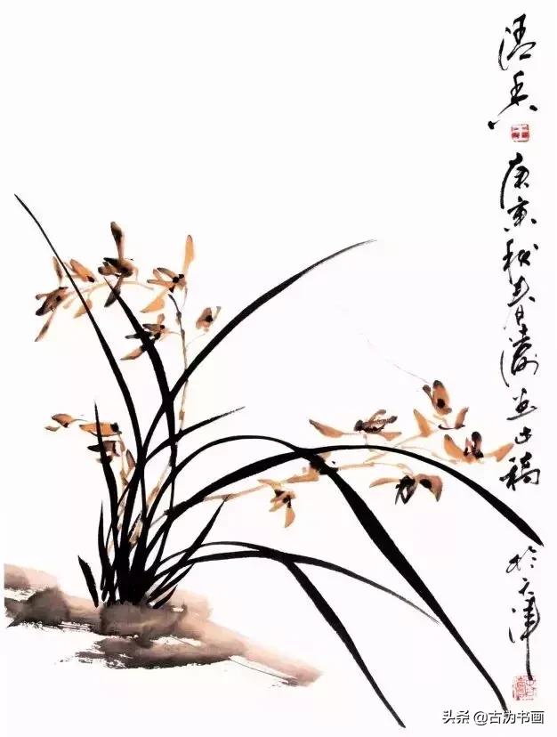 国画兰花技法讲解视频,徐湛国画兰花技法教学