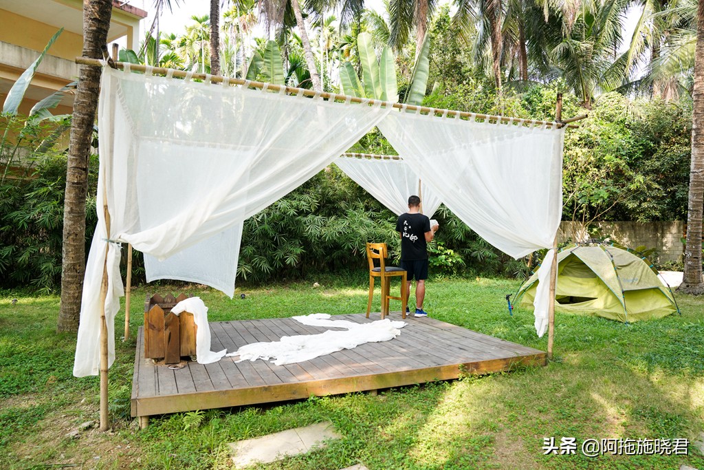 漫步其中尽享清新惬意,漫步海边椰林