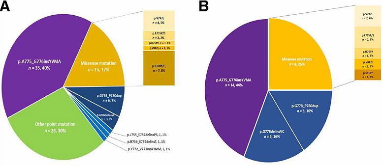 her2肺癌靶向药入集采了吗,肺癌her2靶向药治愈率