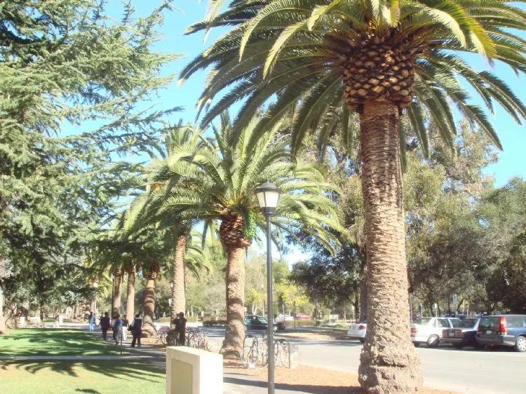 七所“村”里的美国大学，这是心动的感觉