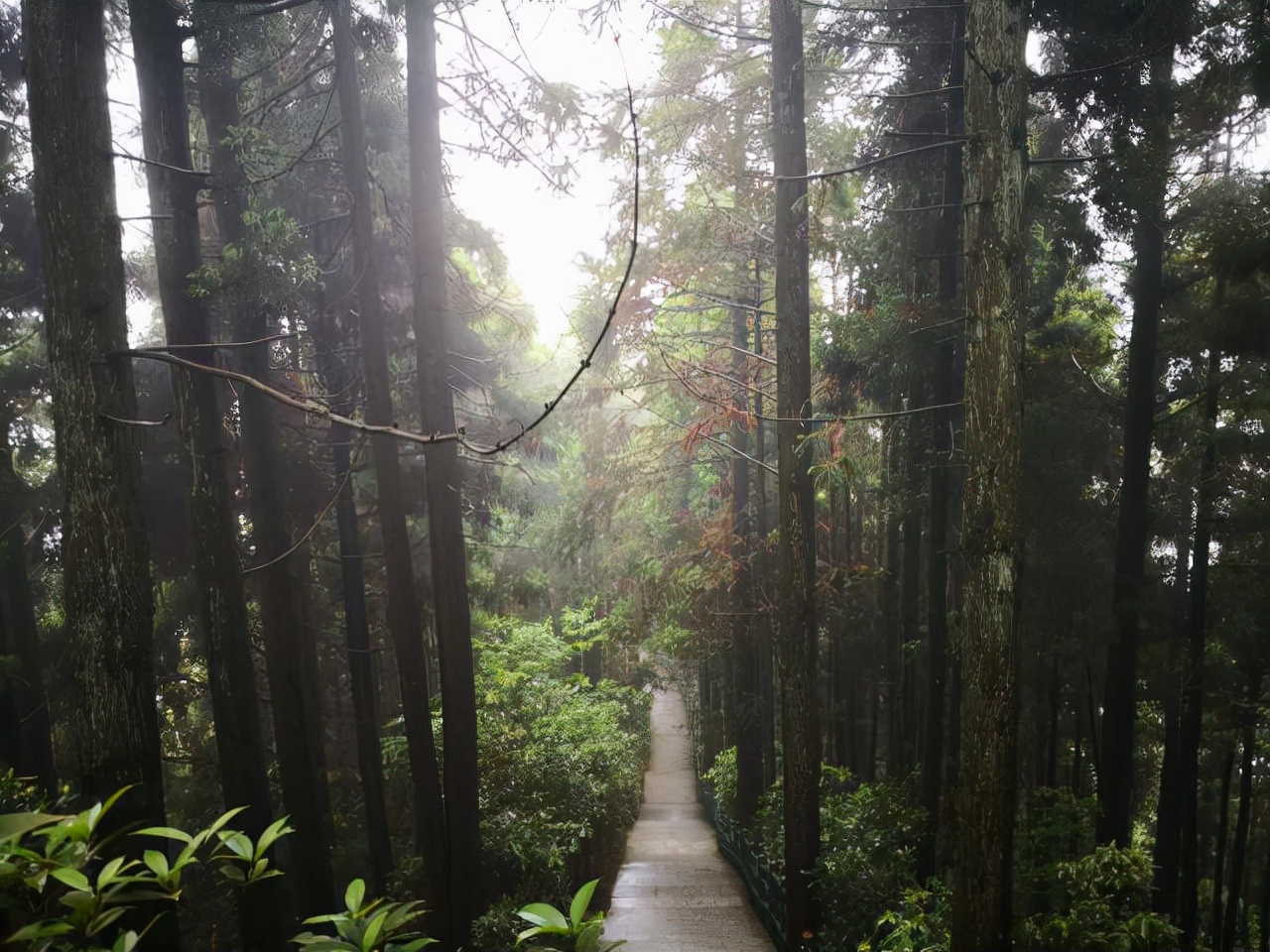 井冈山风景名胜区从哪里开始游玩,游览井冈山红色革命基地