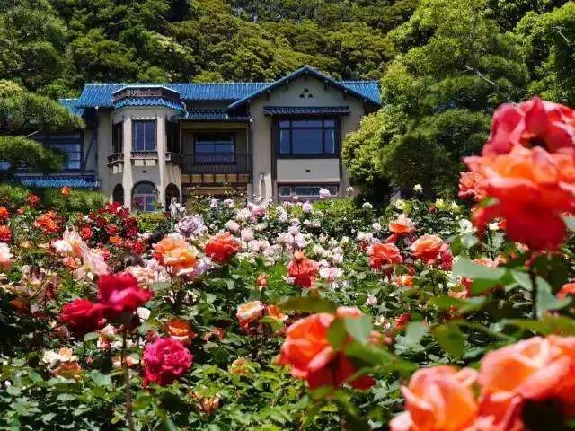 镰仓高校灌篮高手纪念地,镰仓灌篮高手在哪一站