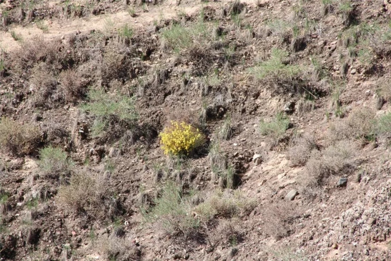 冰沟丹霞距离张掖多远,张掖冰沟丹霞风景区图片