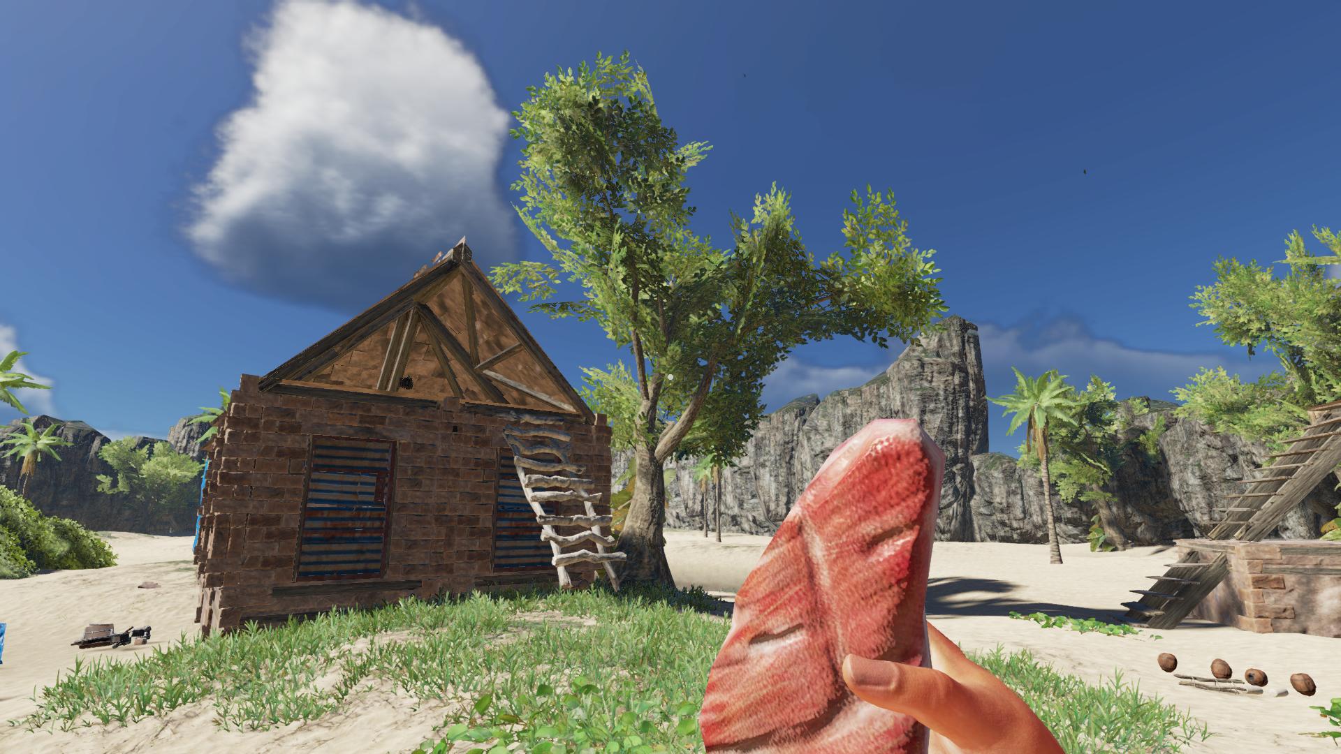 荒岛求生游戏如何加血量,荒岛求生游戏掉血了怎么办