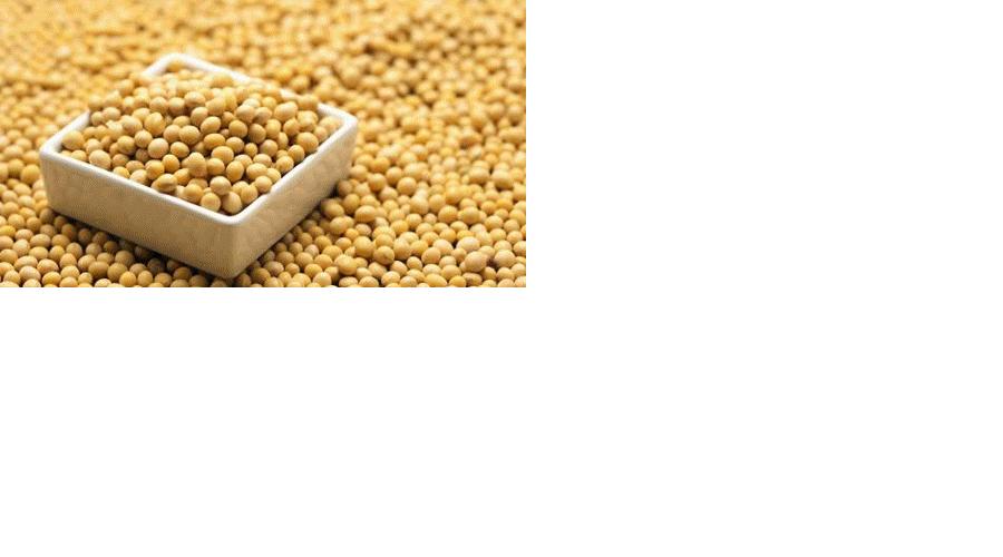 秃发怎么养发,秃发养发过程