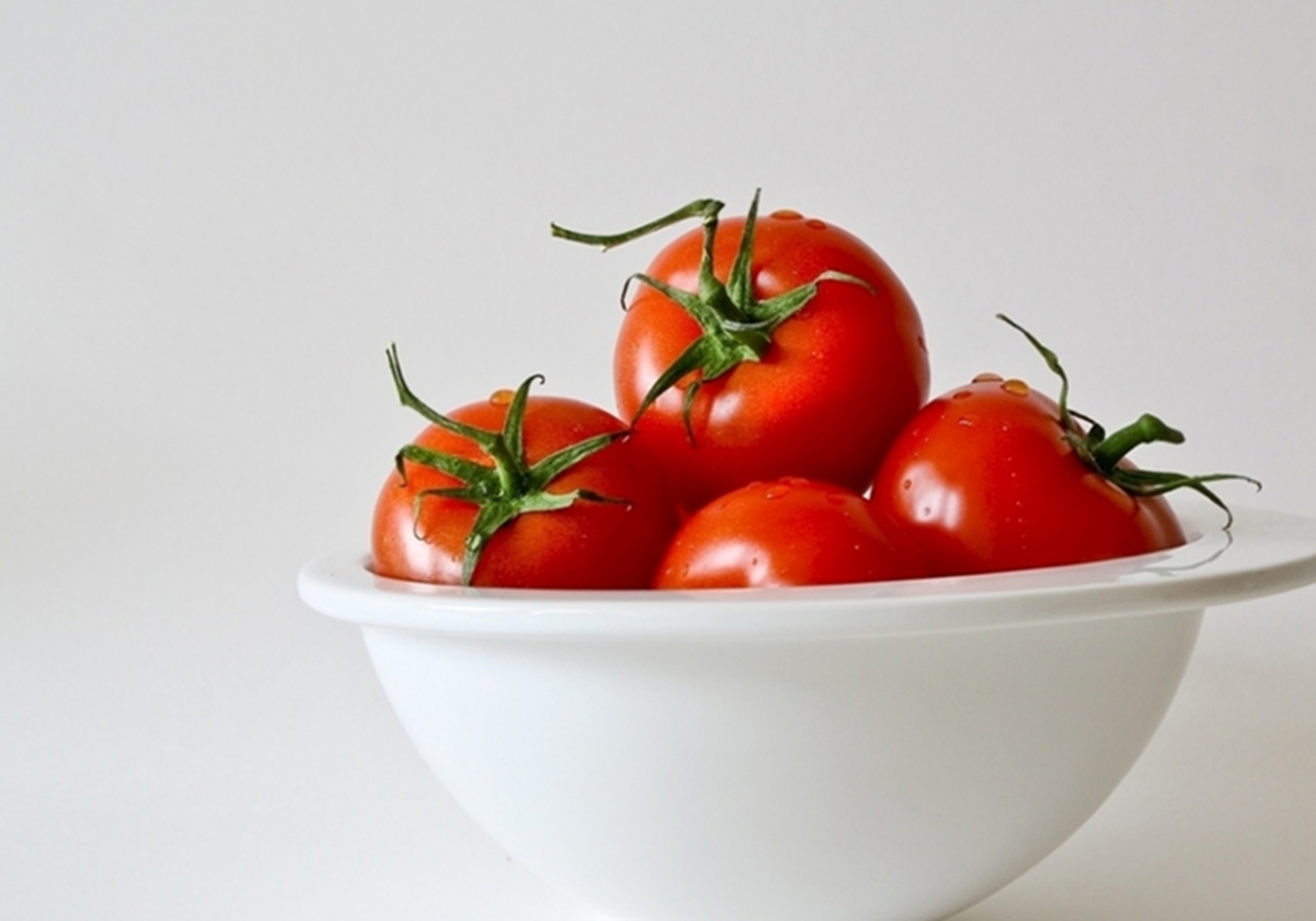 西红柿移栽的管理方法视频,西红柿移苗标准是怎样的