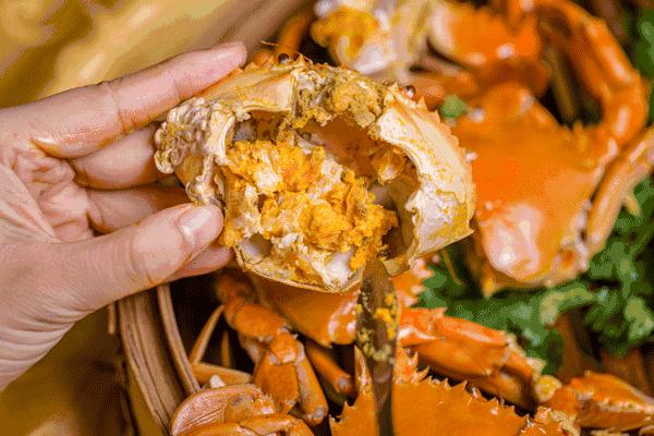 黄渤海海鲜种类,黄渤海渔场海鲜价格