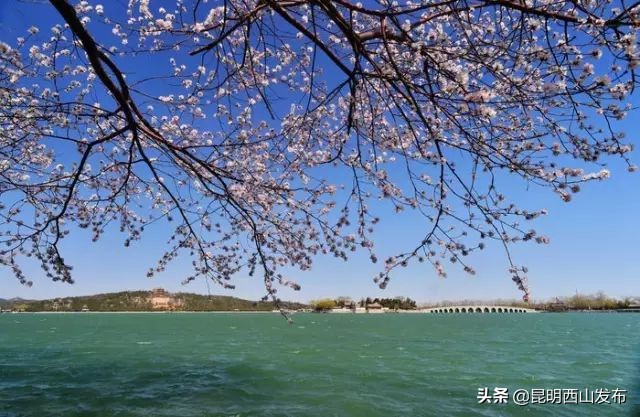 怎样成为云南人,怎样才能成为你想成为的人