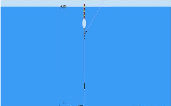 野钓上鱼浮漂没反应,野钓一晚上收获不容乐观