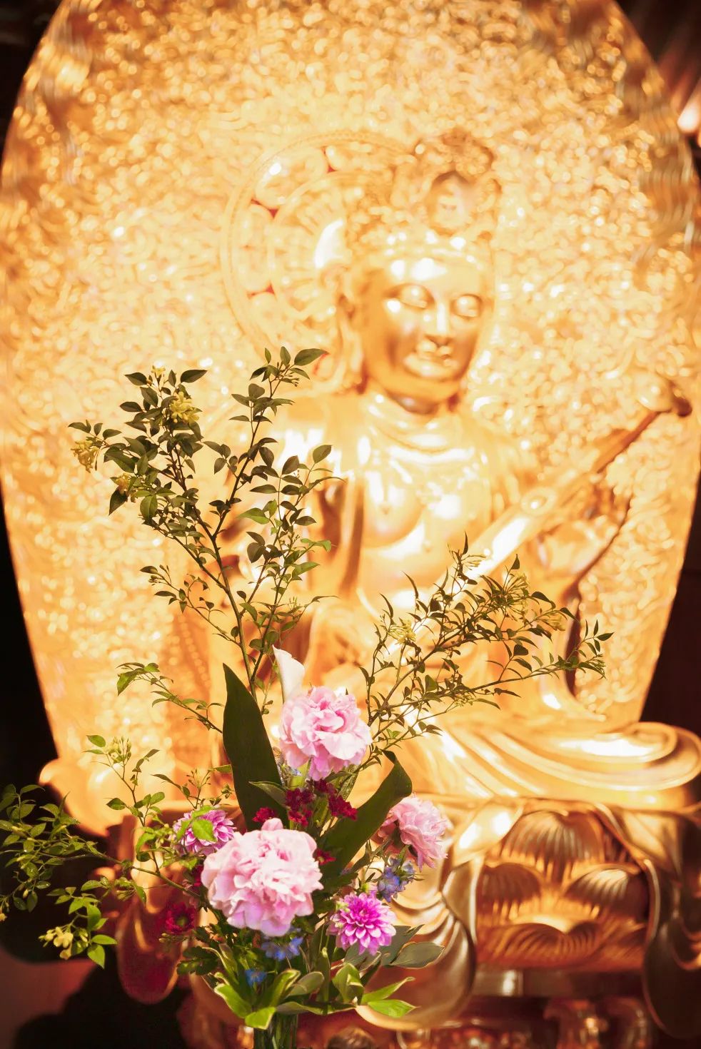 相貌端庄为何因前世鲜花供佛,教你1000种求佛方法