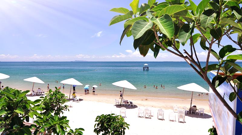 中国康养委员会,中国康养委员会成员名单