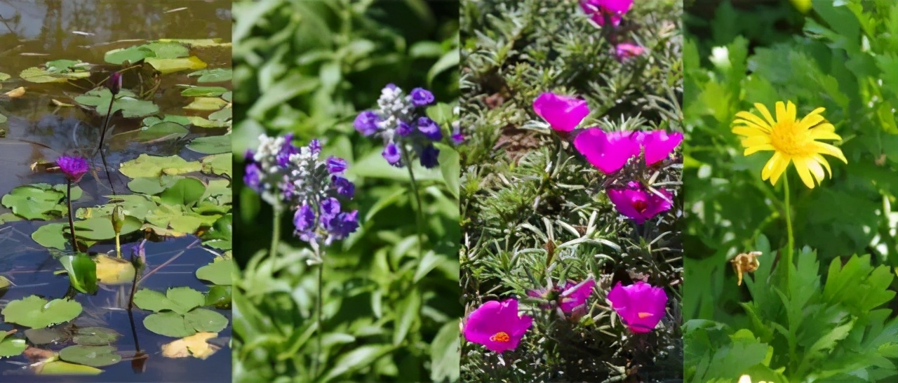 重庆风景优美的旅游地免费,重庆风景好的地方三天自驾游