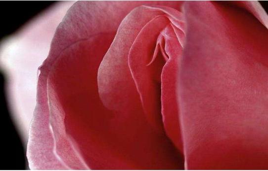 辽阳安琪外阴白斑治疗怎么样,沈阳医大治疗外阴白斑好吗