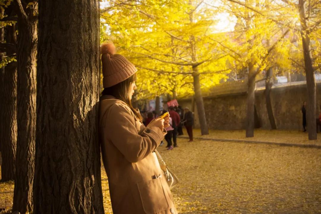 三亚和厦门哪一个更值得去旅游,三亚和厦门哪个地方值得去