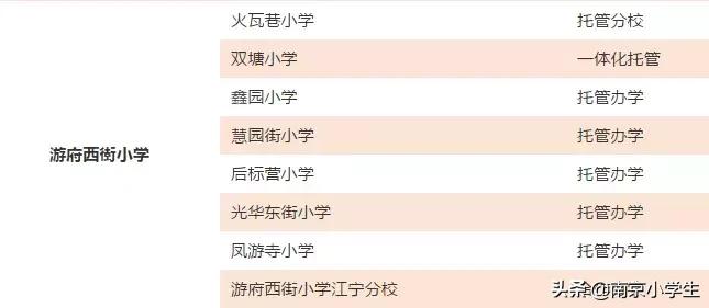 骄傲！游府西街小学又诞生了一个世界冠军