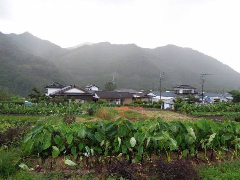 读江浩故居有感作文,读长江之歌感受