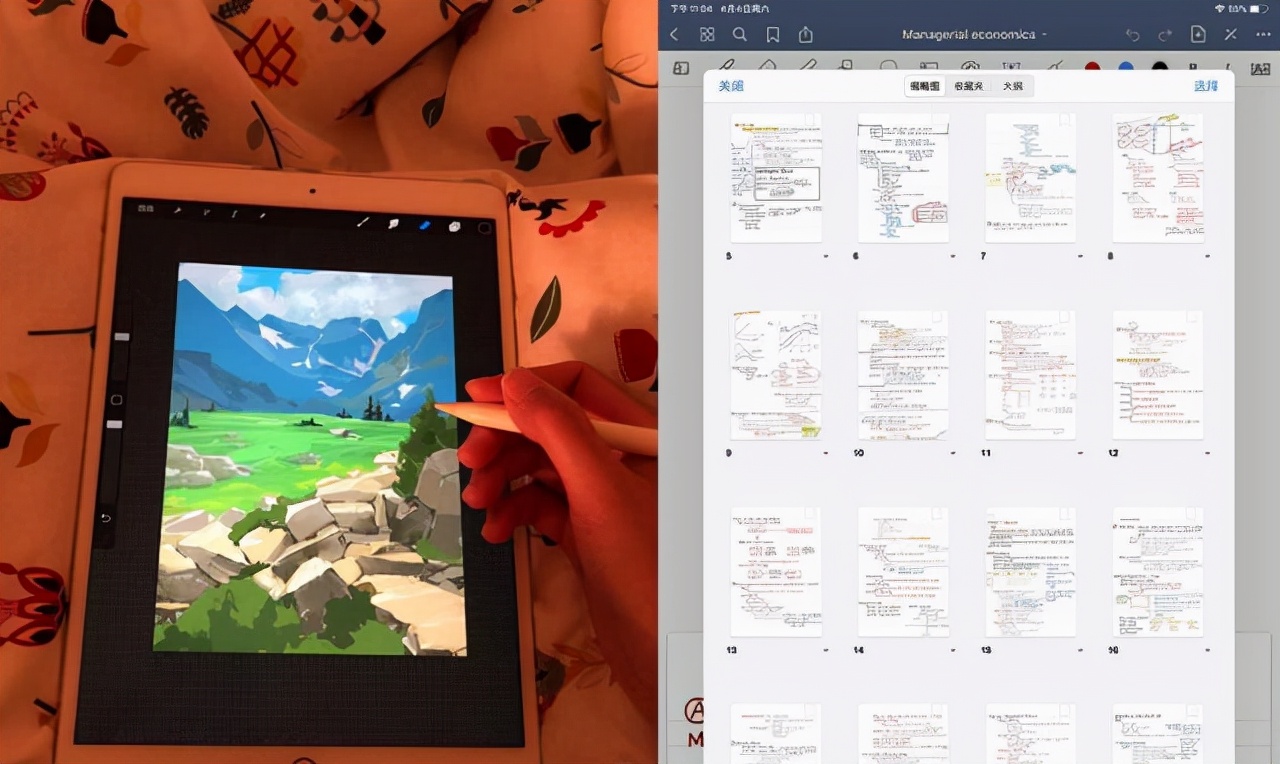学习用ipad有必要吗,ipad方便学习写作业