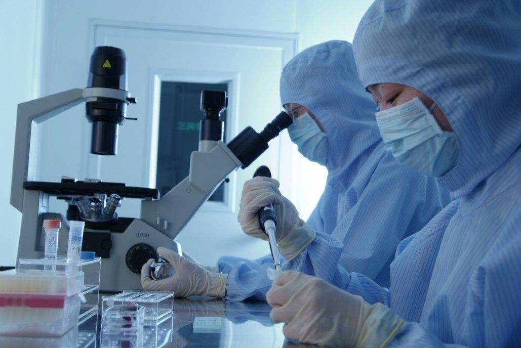 2022干细胞治疗脊髓损伤招募患者,干细胞最新利好