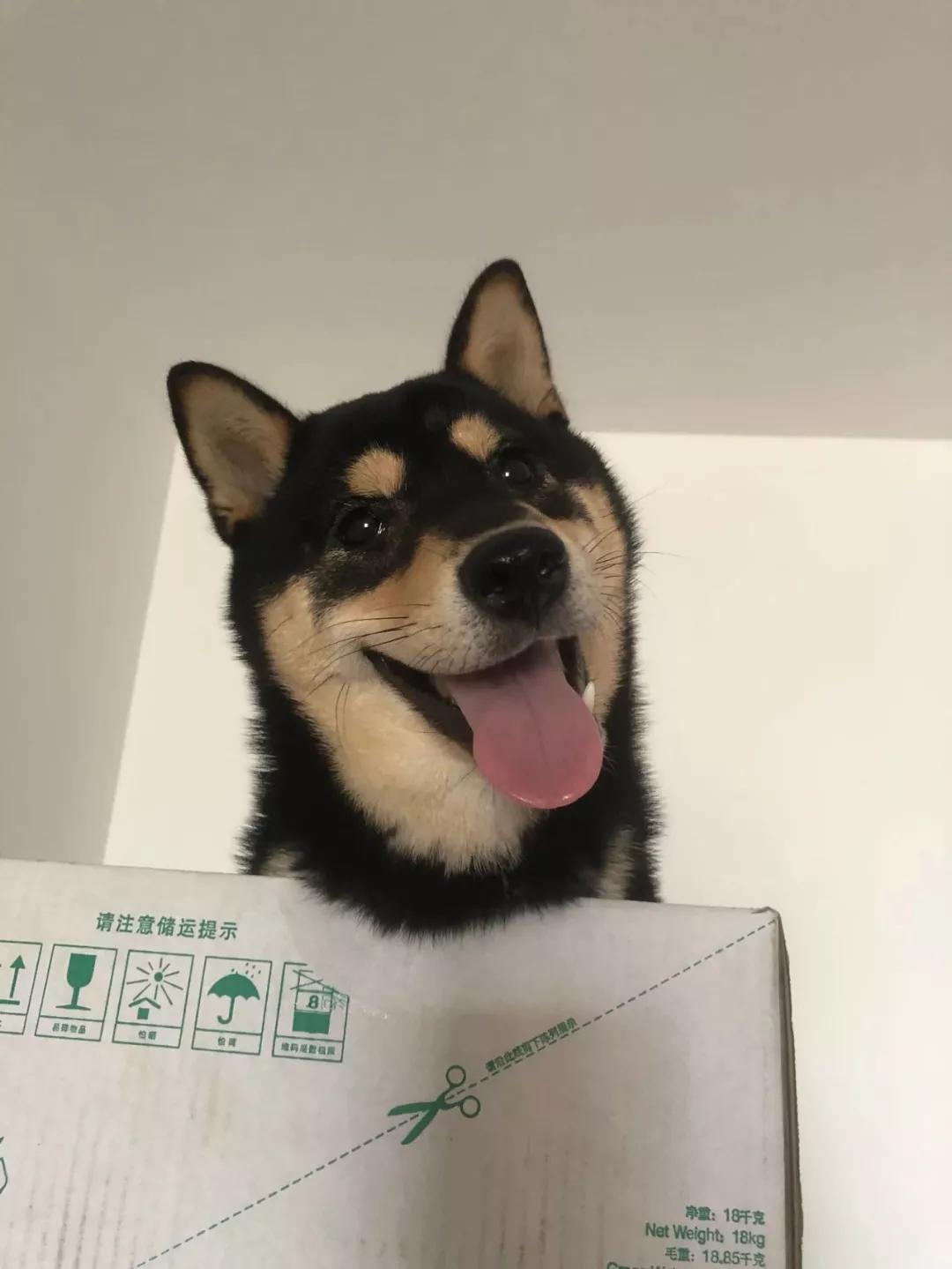 零元购的骗局,零元购是不是骗局