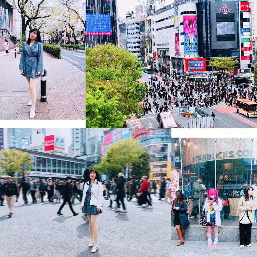 #Lili travel #日本樱花季之旅，畅游东京、京都、大阪！