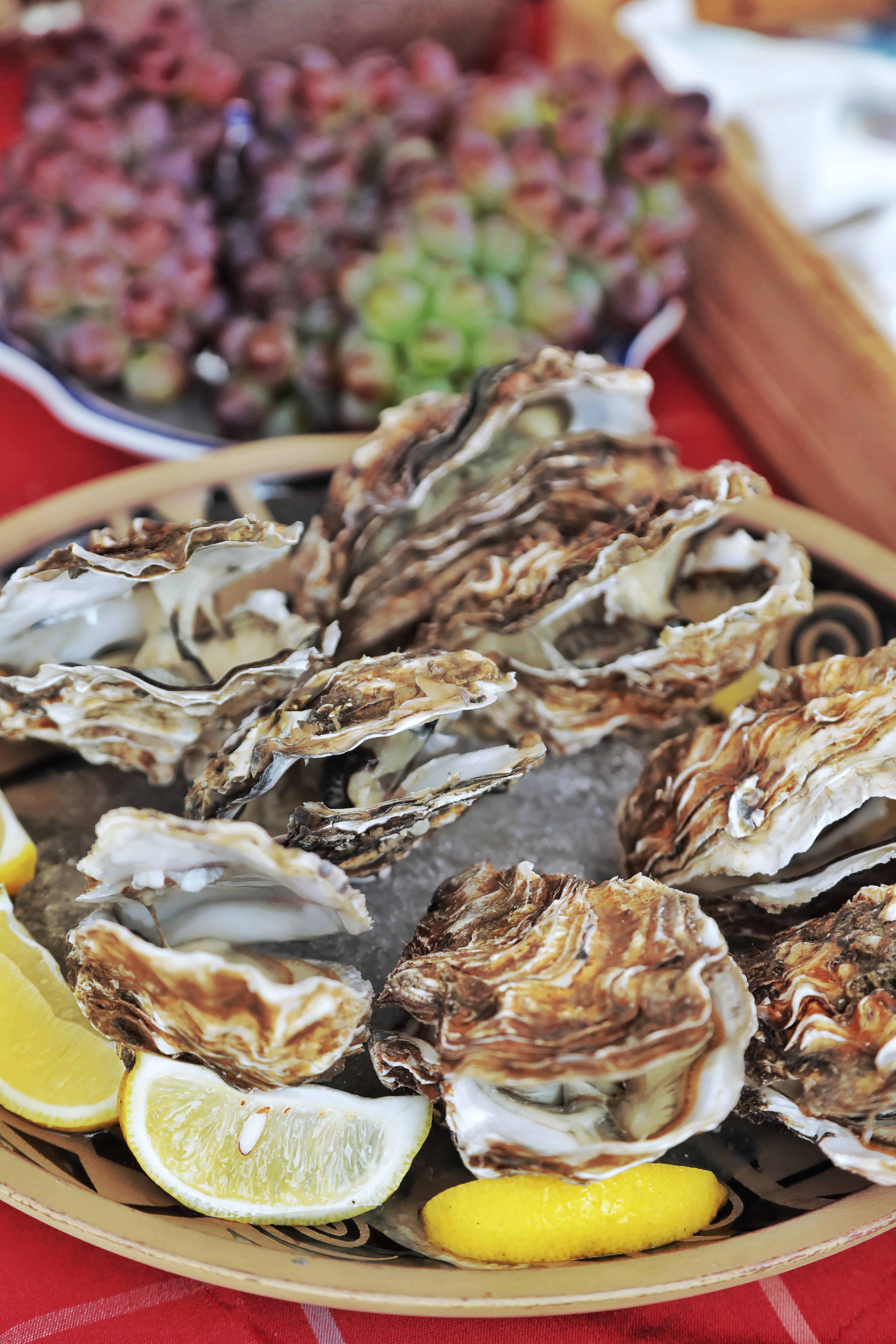 到大连避暑,大连旅游游艇出海多少钱