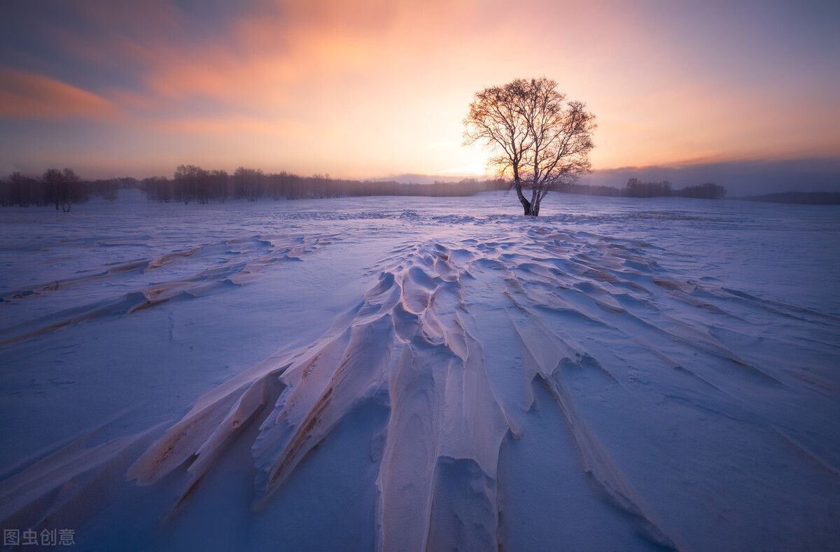 十本入坑网文,四本完结多年依旧无法超越的网文