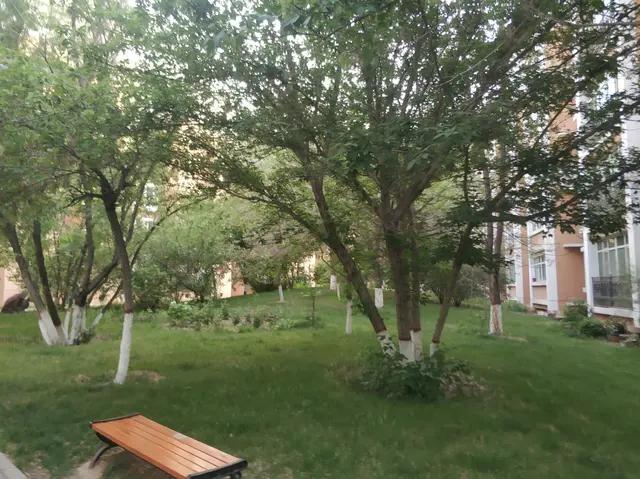 绿地城二期绿化乌鲁木齐,乌鲁木齐中海万锦公馆绿化环境