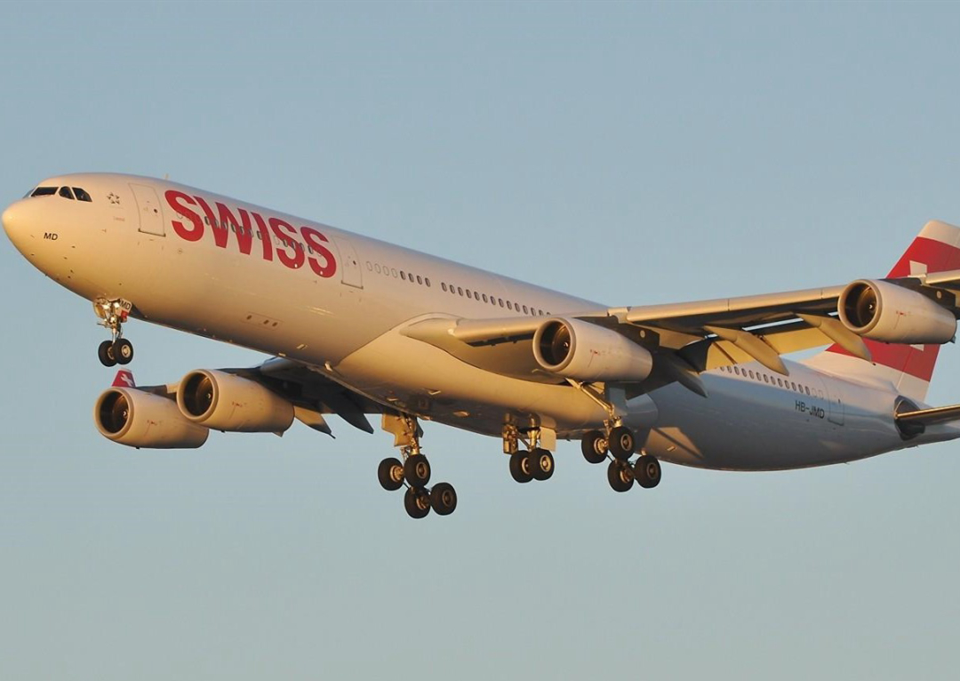 金花蛇飞行原理,没有翅膀也能飞中国科学家